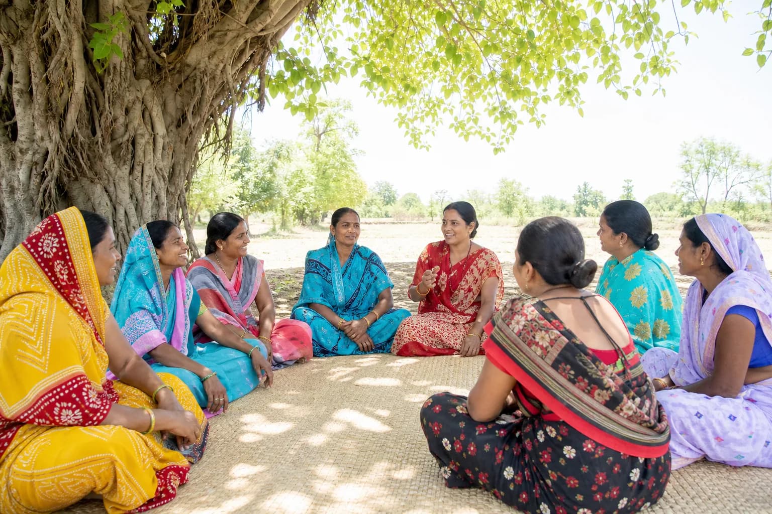 A village women's self-help group meeting under a banyan tree in Telangana